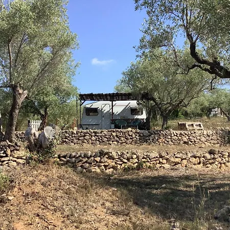 Luxury tent Gelimar L'Ampolla